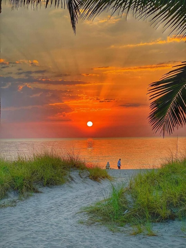 Sky Islands Beach image 7